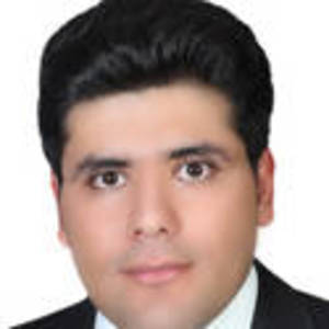  Manouchehr Sanei 