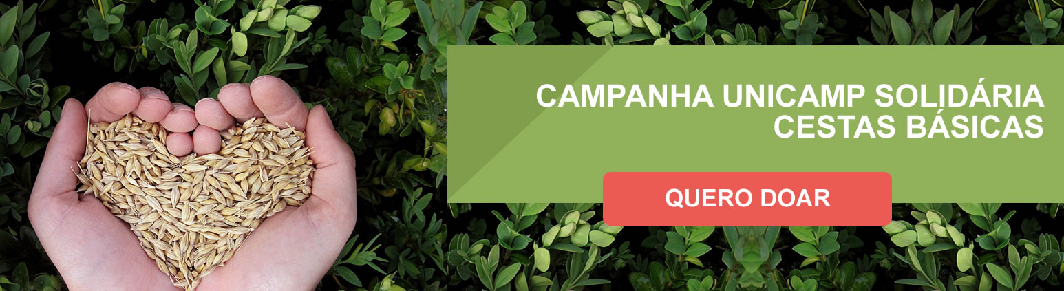 campanha2020.jpg campanha2020.jpg